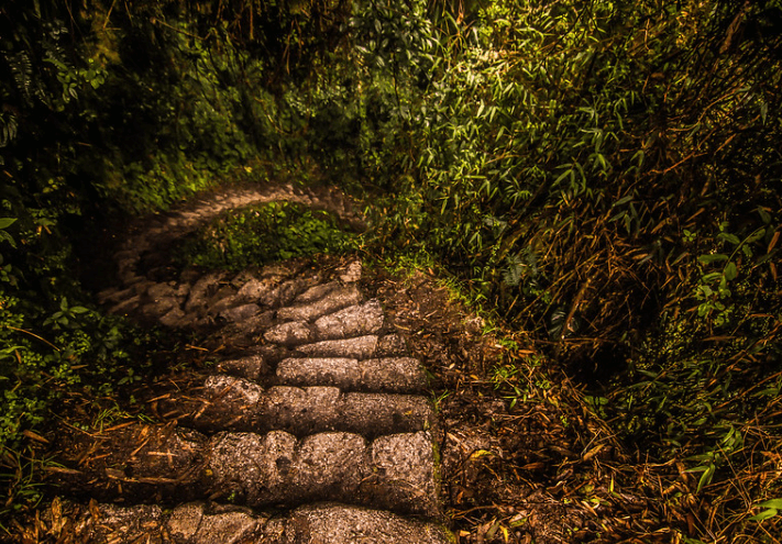 camino inca 4d3n 1