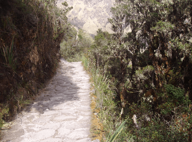 camino inca 4d3n