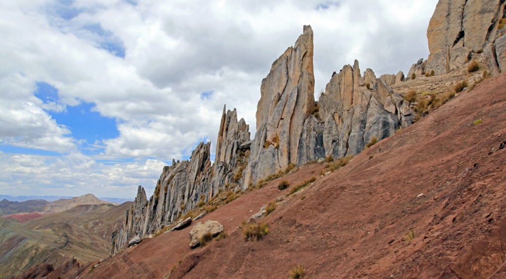 palcoyo