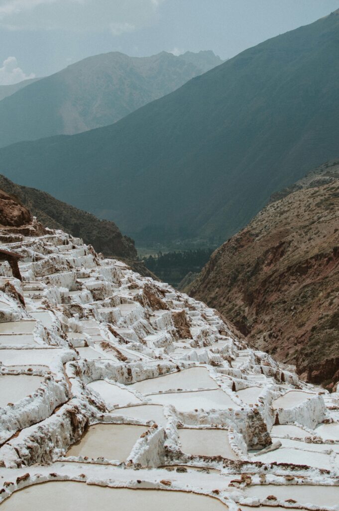 maras