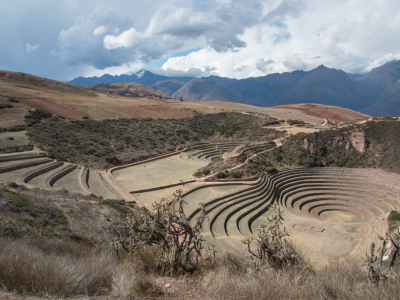 maras moray