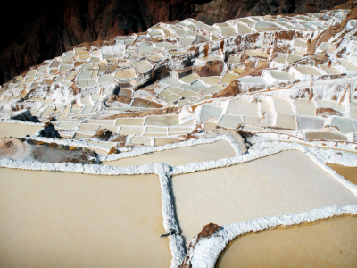 maras moray5
