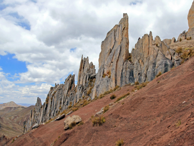 palcoyo